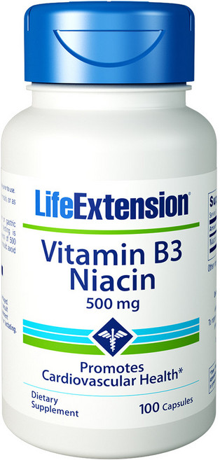 라이프익스텐션 비타민 B3 니아신 500mg 캡슐, 100정, 1개