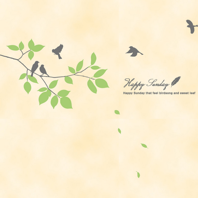 [파랑나무] 해피썬데이 (B타입), 그레이+라이트올리브