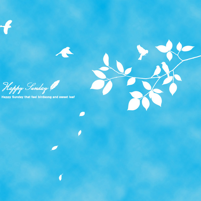 [파랑나무] 해피썬데이 (B타입), 화이트