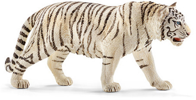 슐라이히 백호 SL14731, 1개