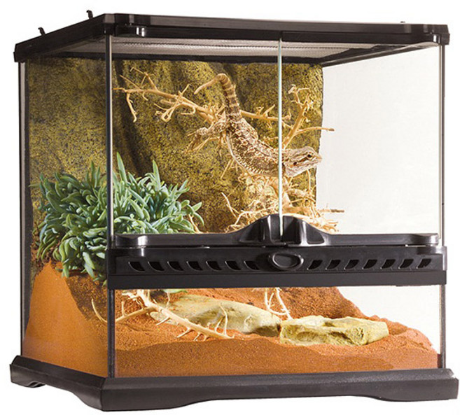 엑소테라 파충류 유리장 PT-2600, 혼합색상, 1개