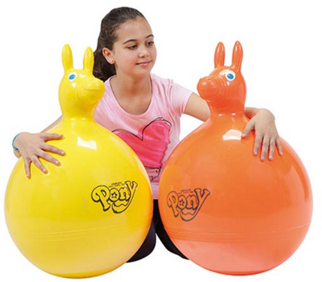 짐닉 포니, 오렌지, 1개