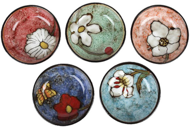 소담 원찬기 1호, 혼합색상, 5개