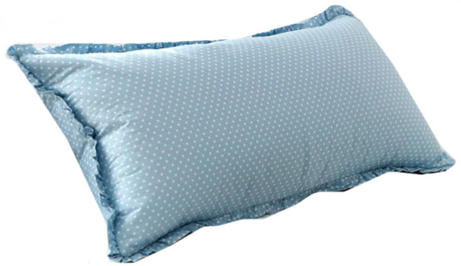 이투라이프 가든 대쿠션커버