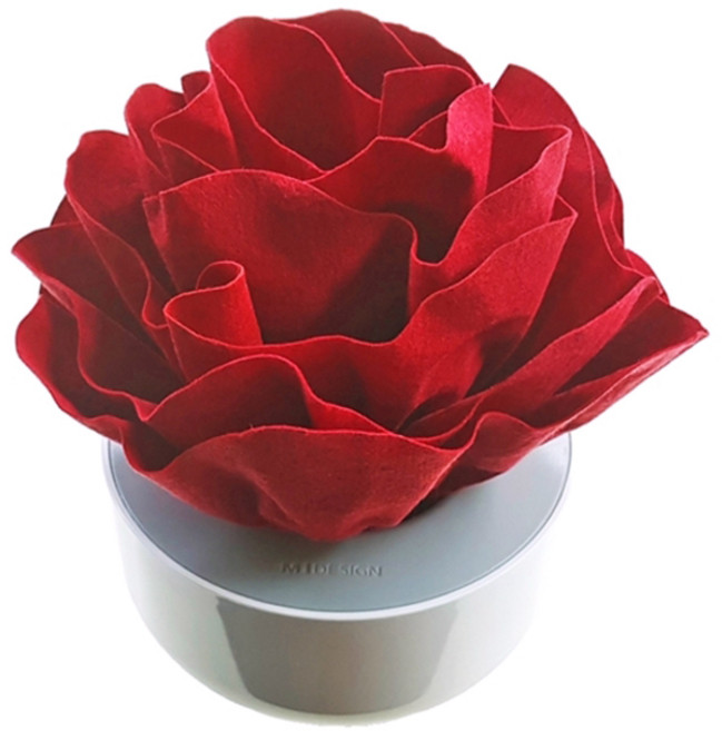 엠아이 휴대용 자연기화식 가습기, HNP-0016 (레드), 1개