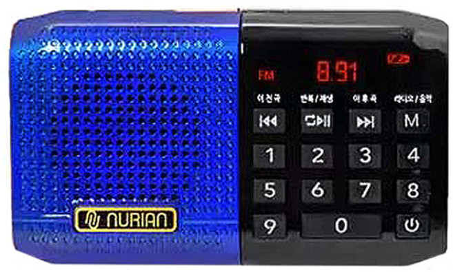 누리안 효도라디오 음원 100곡 포함, NUR-ST100, 블루