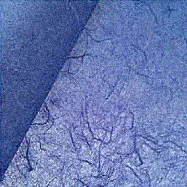 고감한지 닥운용지롤 한지, 남보라, 1개