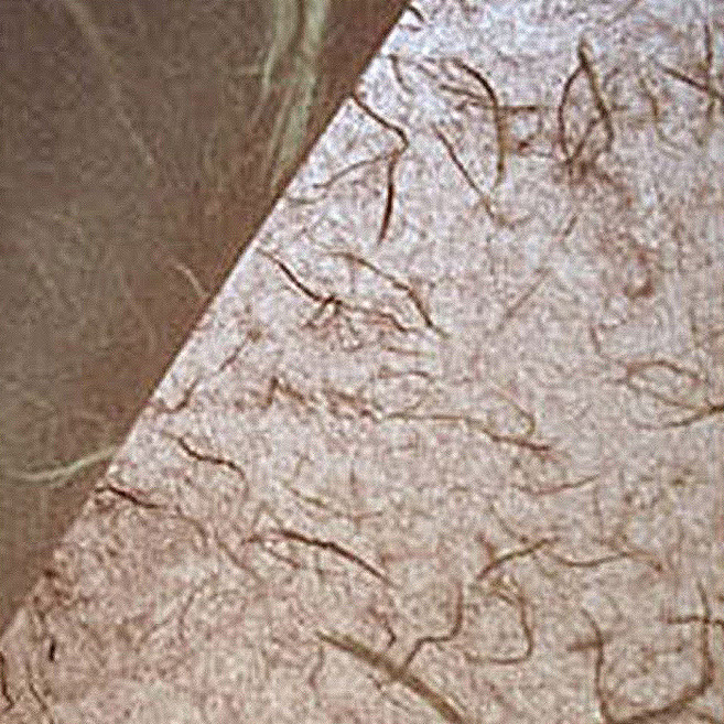 고감한지 닥운용지롤 한지, 갈색, 1개