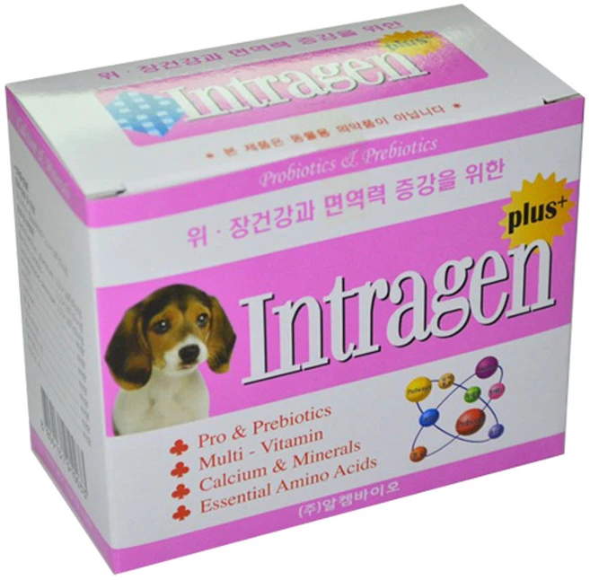 인트라젠 플러스 반려동물 영양제, 60g, 장건강/유산균, 1개 - 쿠팡