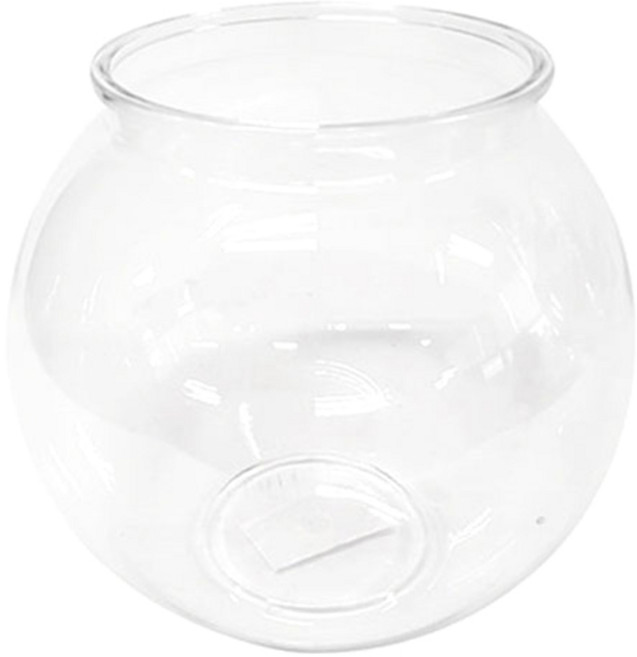 투명 플라스틱 어항, 1개