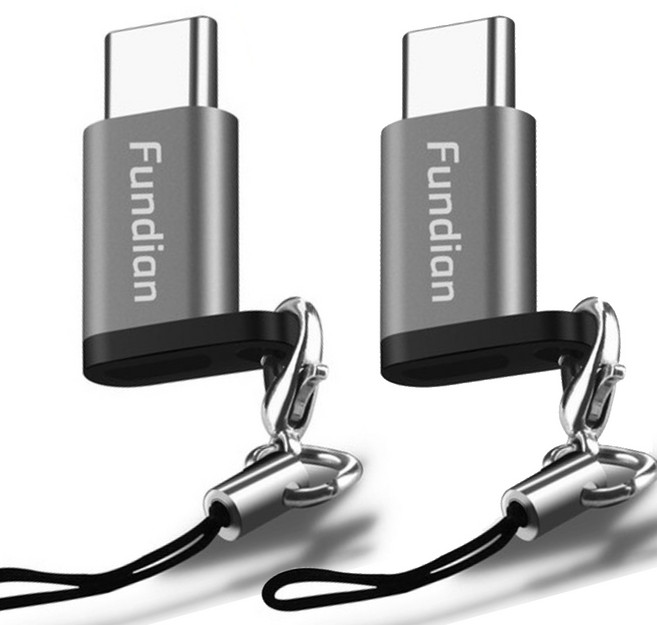 펀디안 스트랩형 퀵차지 C타입 OTG 지원 케이블, 스페이스 그레이, 2개입