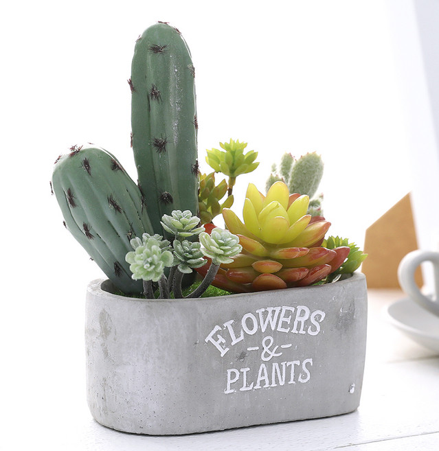 행복한마을 조화 제이크 가든 선인장, 혼합 색상, 1개