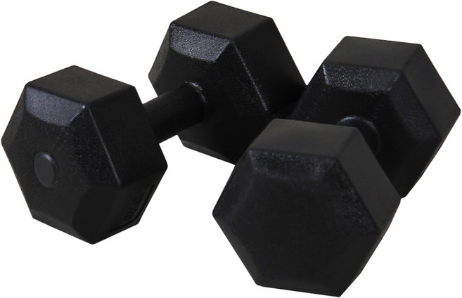 이고진 블랙육각 덤벨 아령, 2kg, 2개
