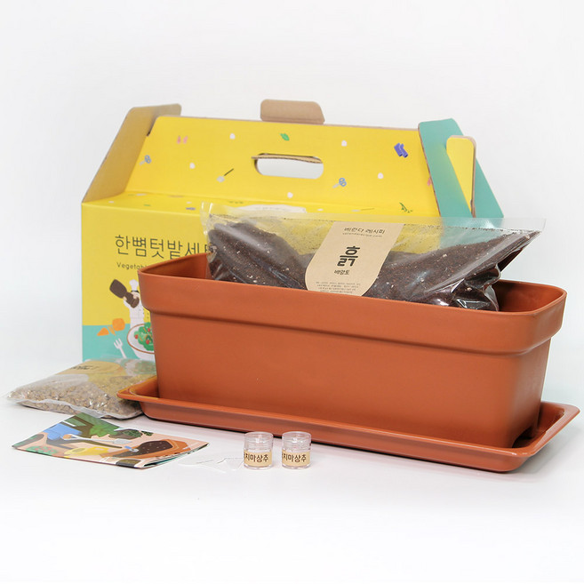 베란다레시피 한뼘텃밭세트 브라운, 청치마 상추, 적치마 상추