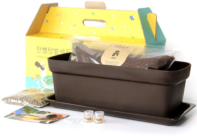 베란다레시피 한뼘 텃밭세트, 상추