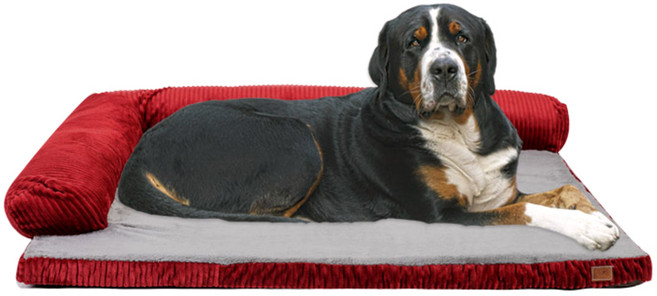 딩동펫 반려동물 사각방석, 레드, 1개