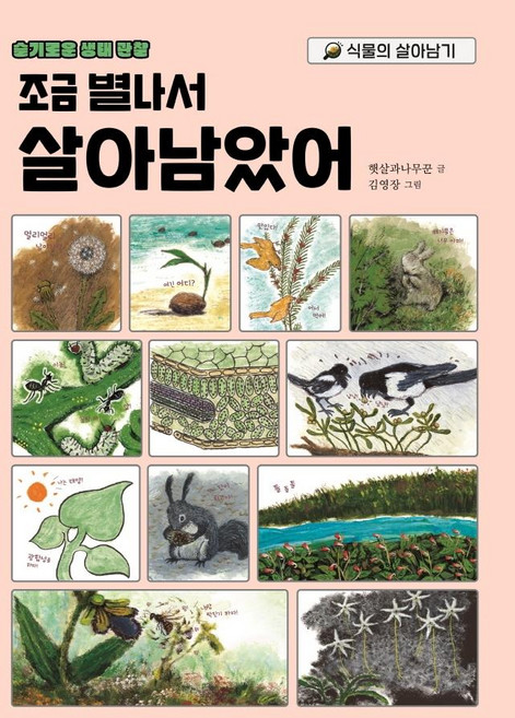 조금 별나서 살아남았어:식물의 살아남기, 시공주니어