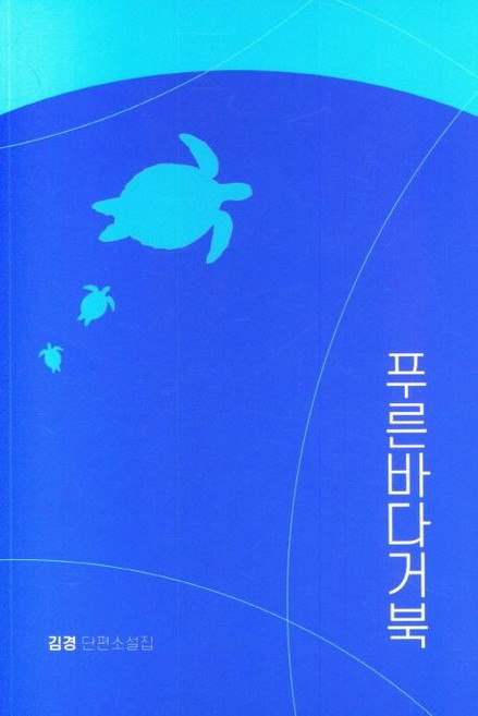 푸른바다거북, 실천문학사, 김경