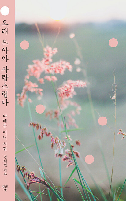 오래 보아야 사랑스럽다:나태주 미니 시집, 나태주, 자화상