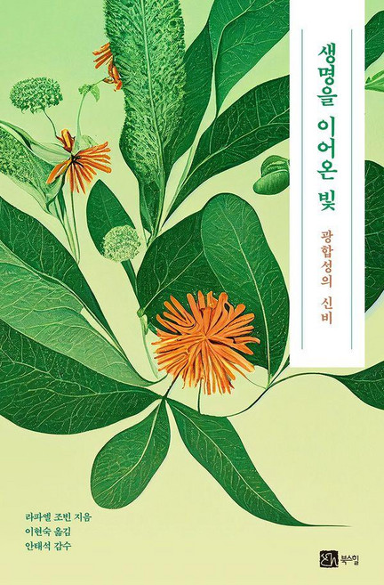 생명을 이어온 빛:광합성의 신비, 북스힐, 라파엘 조빈 저/이현숙 역/안태석 감수