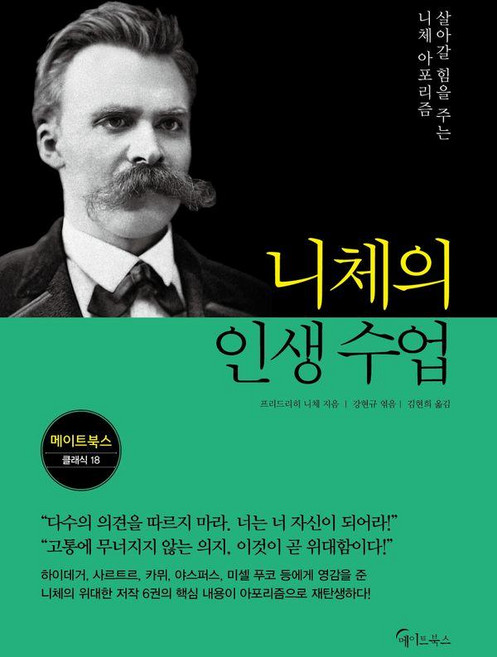 니체의 인생 수업:살아갈 힘을 주는 니체 아포리즘, 메이트북스, 프리드리히 니체