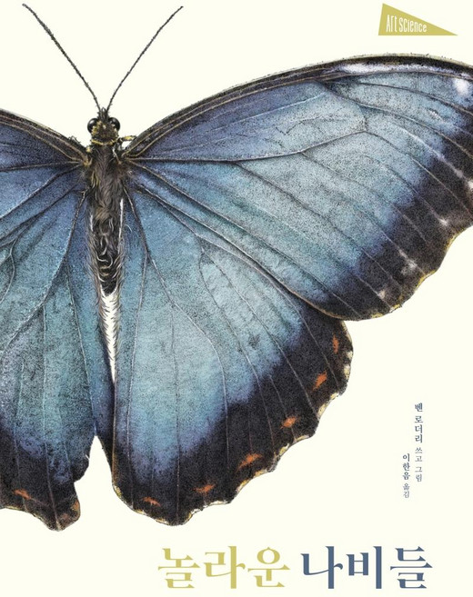 놀라운 나비들 - 아트사이언스 (양장), 보림, 없음null