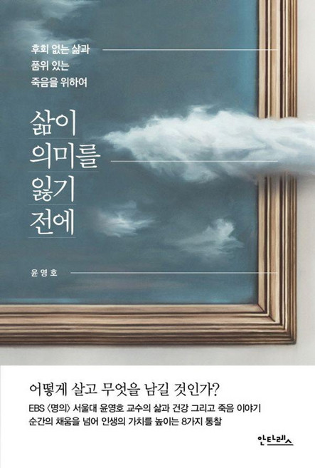 삶이 의미를 잃기 전에:후회 없는 삶과 품위 있는 죽음을 위하여, 안타레스, 윤영호