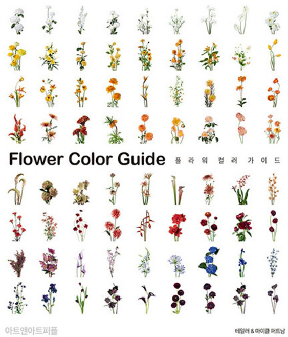 플라워 컬러 가이드, 아트앤아트피플, 테일러 퍼트남 마이클 퍼트남