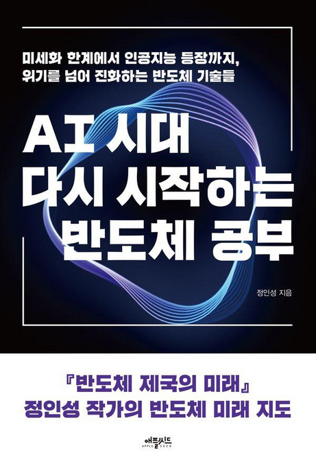 AI시대 다시 시작하는 반도체 공부, 애플씨드, 정인성