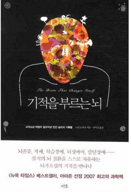 기적을 부르는 뇌:뇌가소성 혁명이 일구어낸 인간 승리의 기록들, 지호, 노먼 도이지 저/김미선 역