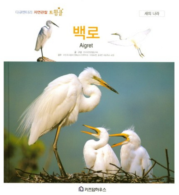 백로, 키즈덤하우스