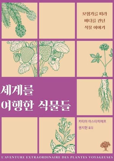 세계를 여행한 식물들 : 모험가를 따라 바다를 건넌 식물 이야기, 돌배나무, 카티아 아스타피에프