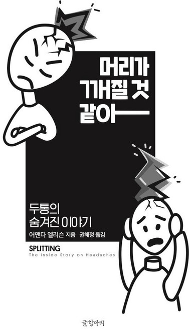 머리가 깨질 것 같아:두통의 숨겨진 이야기, 글항아리, 어맨다 엘리슨