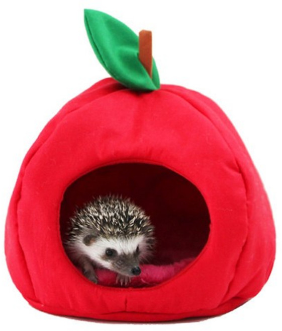 도치퀸 사과포치 은신처, 혼합, 1개