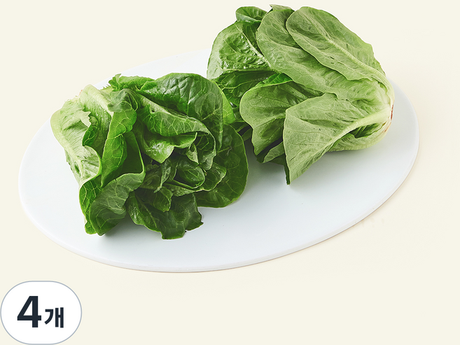 팜에이트 무농약 인증 스마트팜 미니로메인 2개입, 200g, 4개