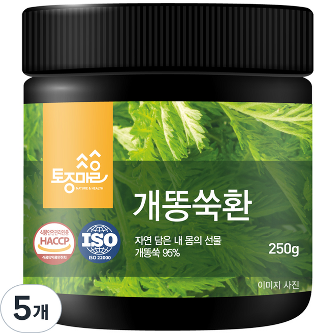 토종마을 개똥쑥환, 5개, 250g