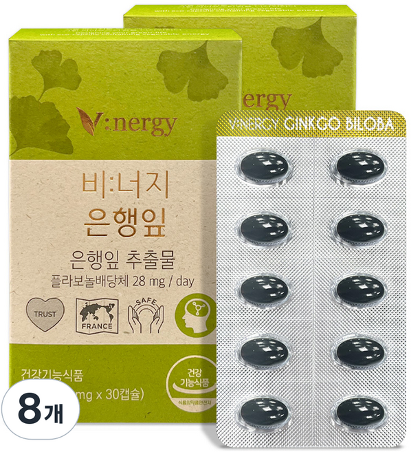 비너지 은행잎 영양제, 8개, 12g