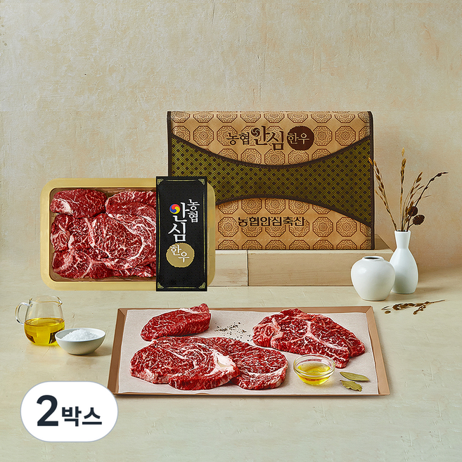 농협안심한우 1++등급(7) 등심 채반 선물세트 2호 (냉장), 1kg, 2박스