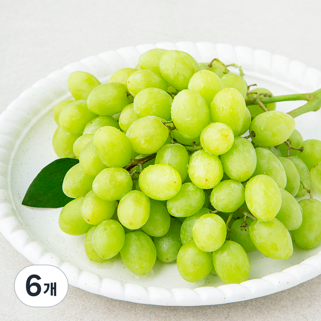PSK 미국산 청포도 스텔라벨라, 490g, 6개