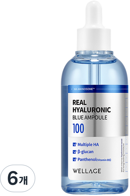 웰라쥬 리얼 히알루로닉 블루 앰플, 100ml, 6개