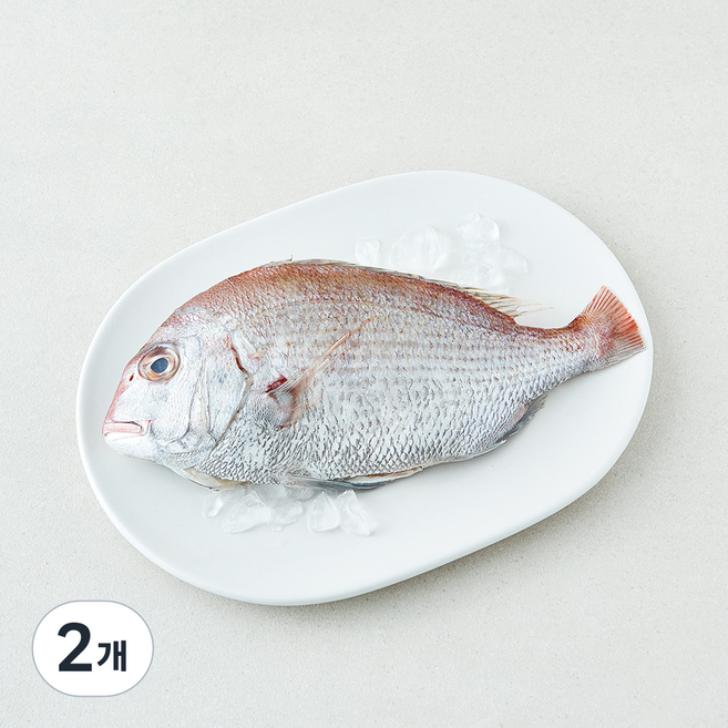 미감어보 국내산 손질 효온처리 통참돔 (냉장), 2개, 200g