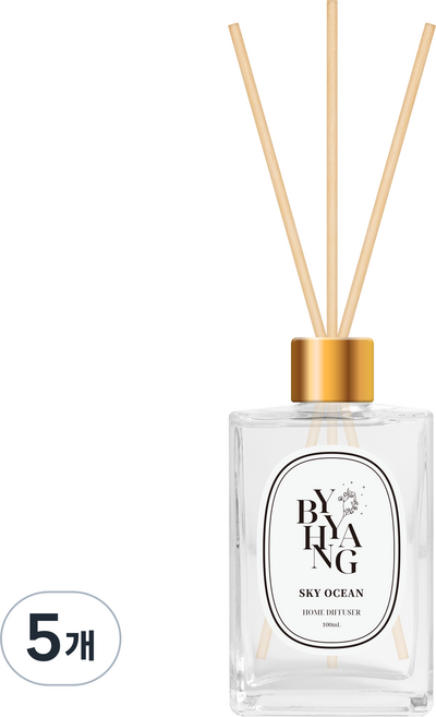 바이향 홈 디퓨저, 스카이오션, 100ml, 5개