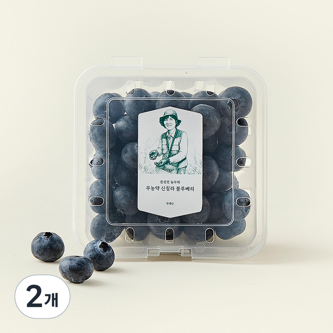 문선진 농부의 무농약 신칠라 블루베리, 100g, 2개