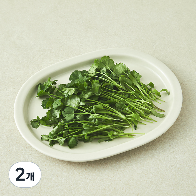 친환경 인증 어린 고수잎, 2개, 30g