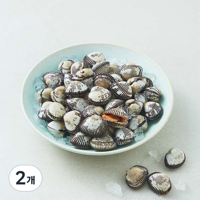 아라보감 여수 생물 새꼬막 (냉장), 2개, 1kg