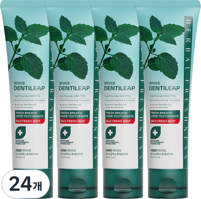 2080 덴티리프 일사오공맥스 후레쉬치약, 120g, 24개