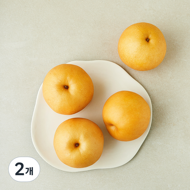 곰곰 농협 당도선별 배, 2개, 2kg