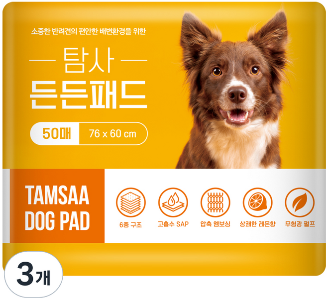 탐사 고흡수 든든패드 레몬향, 50개입, 3개