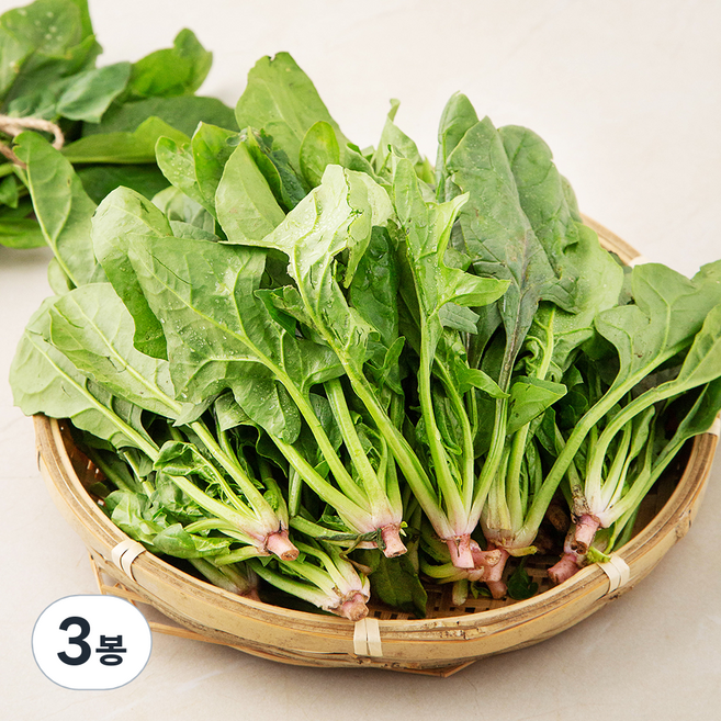 남해 시금치, 800g, 3봉