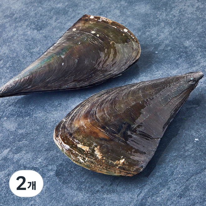숨비해물 국내산 부드럽고 쫀득한 키조개 2미 (냉장), 2개, 600g